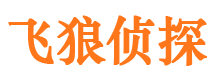 成县市侦探调查公司